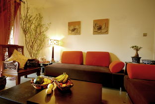 三家瑞都 231355 濎樽裝飾