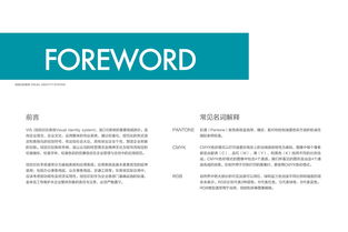 品牌VI設(shè)計(jì)與軟件開(kāi)發(fā) 自由自在品牌管理的雙翼